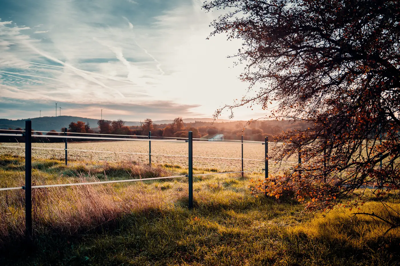 Farmland bordered by a wire fence and trees at sunset, marking where one field ends and another begins.